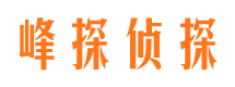 铜山市婚外情调查